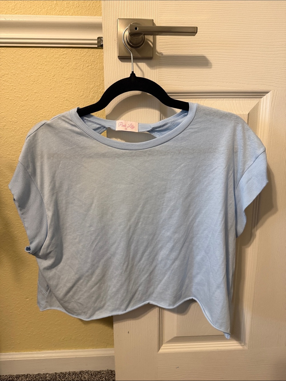 Pink Lily Light Blue Cropped Tee Top